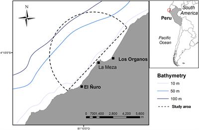 Energetic Effects of Whale-Watching Boats on Humpback Whales on a Breeding Ground